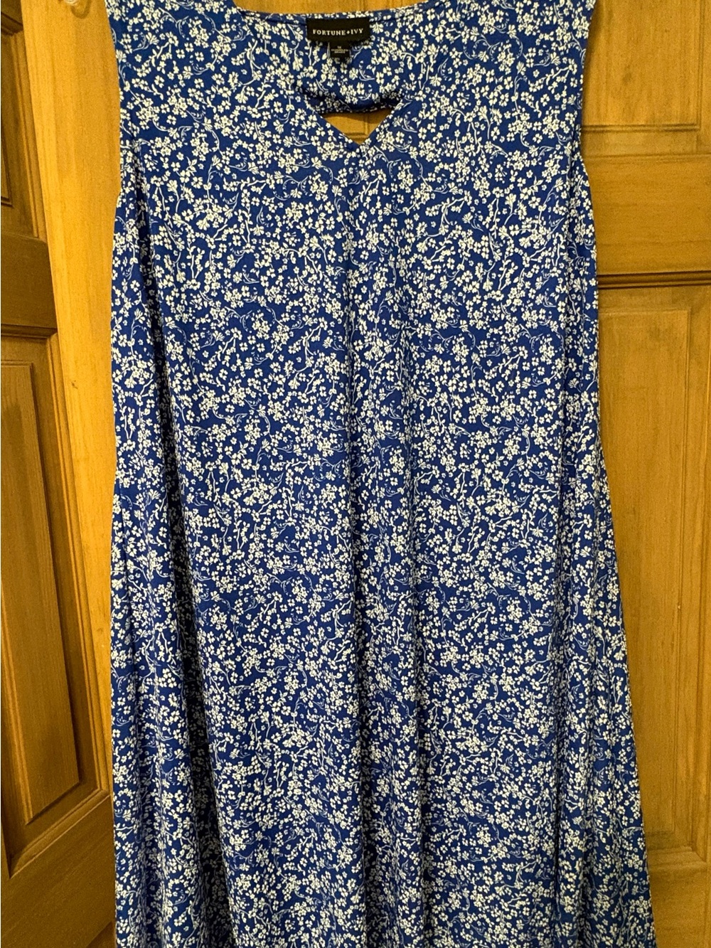 Blue Floral Sleeveless A-Line Dress